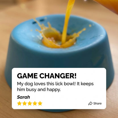 Fun Dog Lick Bowl Feeder