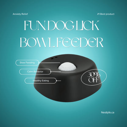 Fun Dog Lick Bowl Feeder