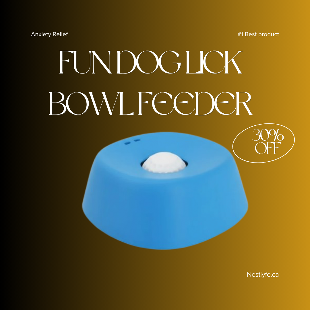 Fun Dog Lick Bowl Feeder